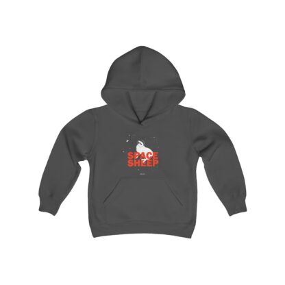 SPACE SHEEP Youth Heavy Blend Hooded Sweatshirt - Image 9