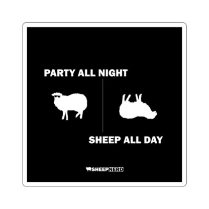 PARTY ALL NIGHT SHEEP ALL DAY Square Stickers