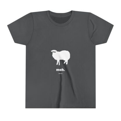 meh. Youth Short Sleeve Tee